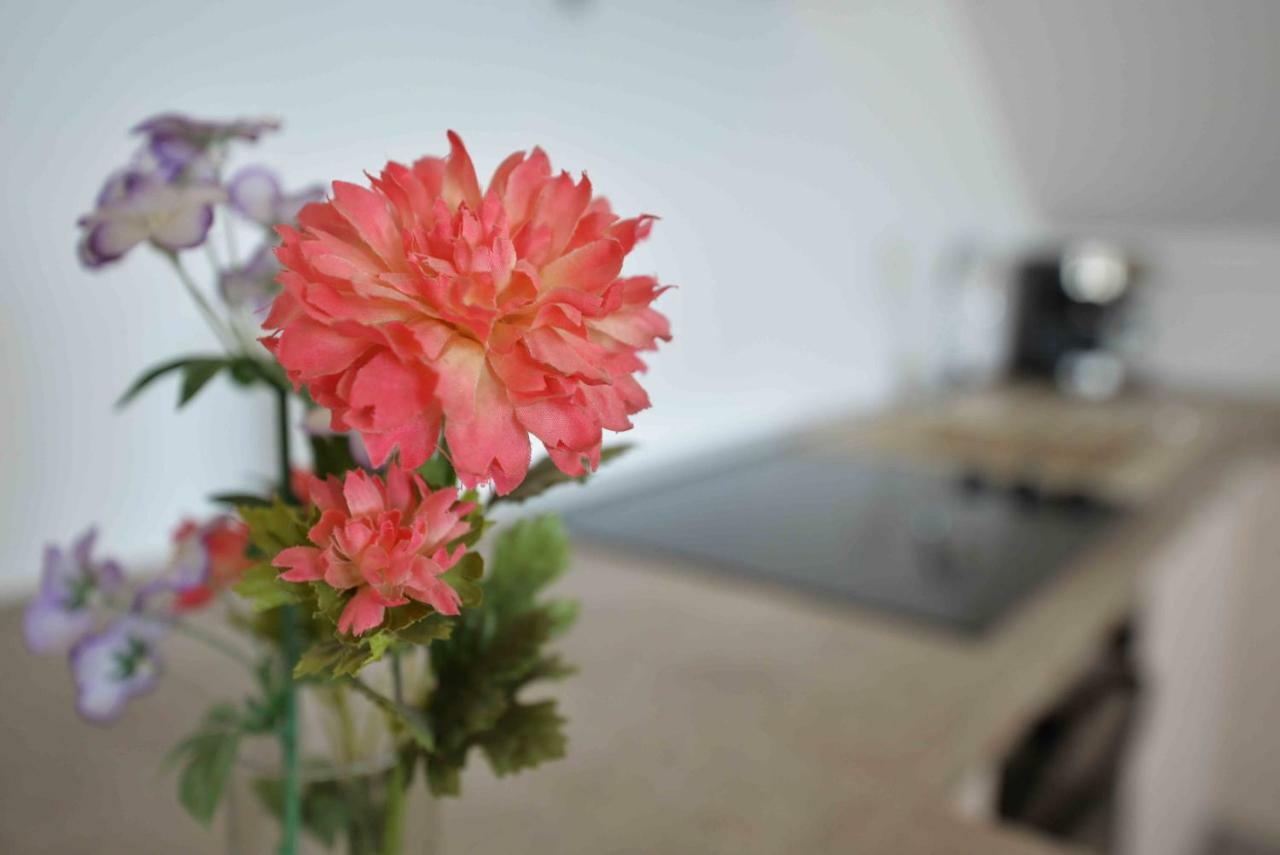 Apartmani Mikin ベティナ エクステリア 写真